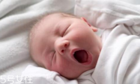 香蕉能安眠嗎？富含鎂元素讓人安眠