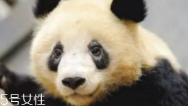 黑眼圈為什么睡夠了還是去不掉？體質(zhì)原因也會造成黑眼圈