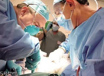 冷凍遺體能活過來嗎？木乃伊完全不可能蘇醒