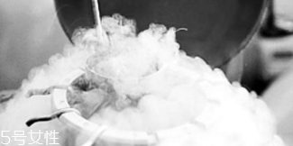 冷凍遺體能活過來嗎？木乃伊完全不可能蘇醒