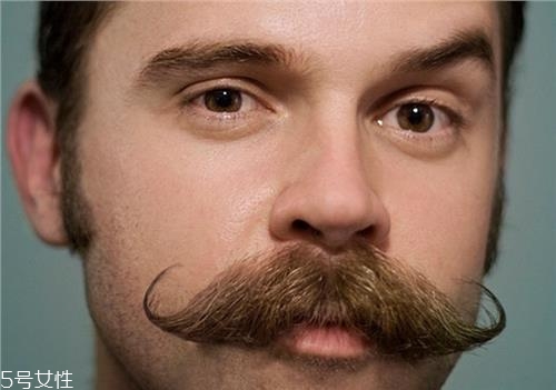 如何從男人的胡子看出疾??？胡子顏色是關(guān)鍵