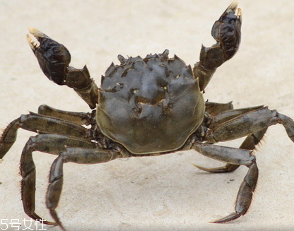 蜘蛛痣吃什么好？揭秘人體天生8大缺陷