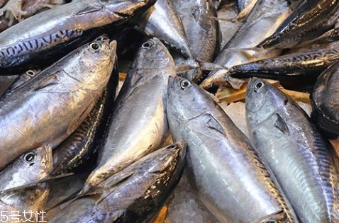 金槍魚(yú)為什么要冷凍 冷凍金槍魚(yú)你知道多少 金槍魚(yú)為什么要冷凍 冷凍金槍魚(yú)你知道多少