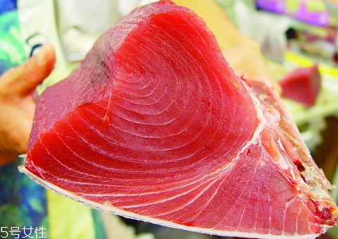 金槍魚(yú)為什么要冷凍 冷凍金槍魚(yú)你知道多少 金槍魚(yú)為什么要冷凍 冷凍金槍魚(yú)你知道多少