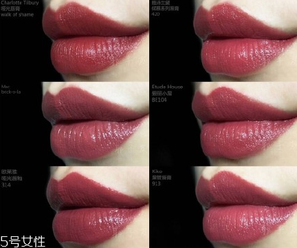 kiko917可以替代ysl黑管407唇釉嗎？平價替代版