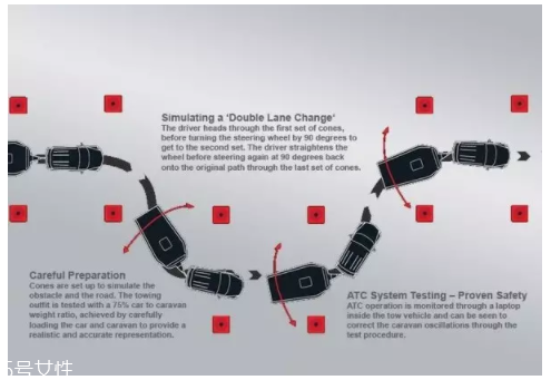 開車前為什么要拍拍車蓋？預(yù)防傷害流浪小動物