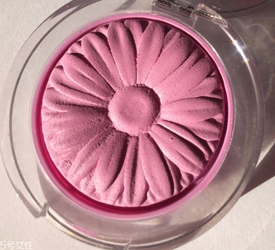 倩碧菊花腮紅色號(hào)有哪些？新手也能輕松掌握