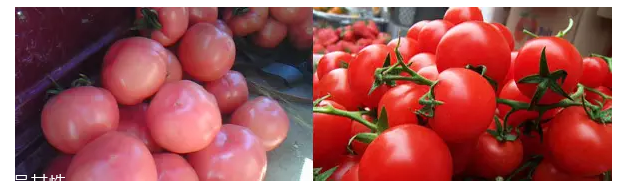 電子秤為什么要多按一個(gè)0？買(mǎi)菜要注意這個(gè)細(xì)節(jié)