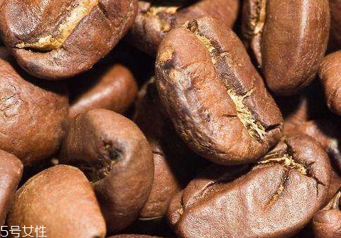 咖啡豆長毛還能用嗎 建議別喝 咖啡豆長毛還能用嗎 建議別喝