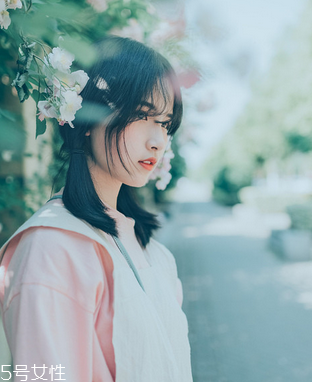 鹿胎膏會發(fā)胖嗎？鹿胎膏無致胖風(fēng)險