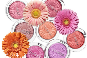 倩碧菊花腮紅色號(hào)有哪些？新手也能輕松掌握