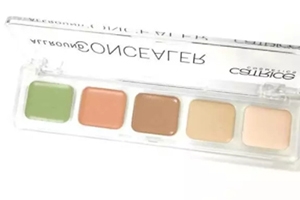 2018遮瑕盤哪個牌子好？我推薦這十款網(wǎng)紅遮瑕盤