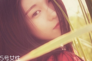 鹿胎膏能天天吃嗎？天天吃也不好