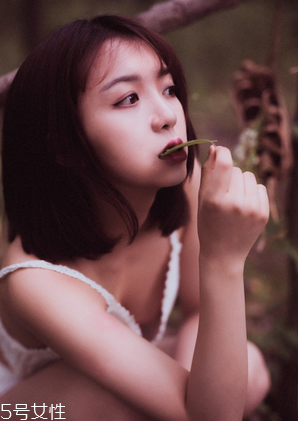 鹿胎膏能天天吃嗎？天天吃也不好