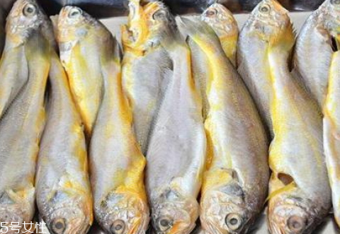 小黃魚怎么保存 冰箱保存小黃魚技巧 小黃魚怎么保存 冰箱保存小黃魚技巧