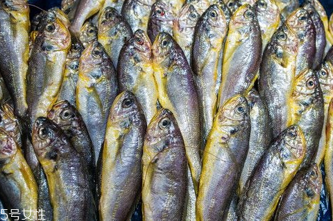 小黃魚是海魚還是河魚 海魚品種分類 小黃魚是海魚還是河魚 海魚品種分類