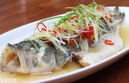 鱸魚死了還能吃嗎 死鱸魚的保存建議 鱸魚死了還能吃嗎 死鱸魚的保存建議