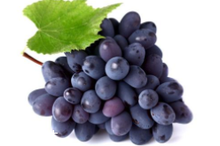 葡萄籽補劑要不要買？不如早睡早起