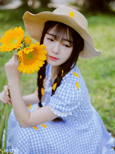 紅花逍遙片多少錢一盒？紅花逍遙片物廉價美