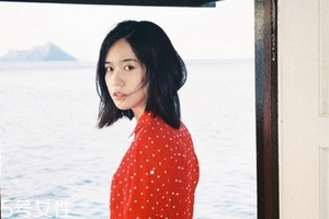 紅花逍遙片多少錢一盒？紅花逍遙片物廉價美