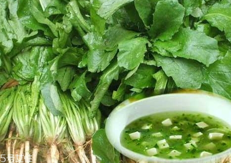 薺菜能和木耳一起吃嗎？一起吃好處多多