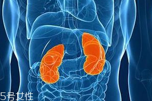 喝完水就尿腎不好嗎？正常人在白天排尿6次左右