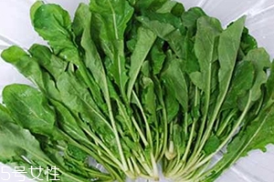 薺菜包餃子需要焯水嗎？小心有苦澀的味道