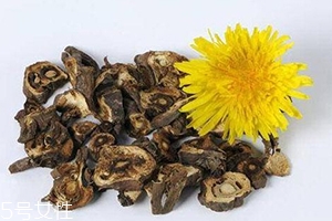 蒲公英泡茶可以放糖嗎？不要只看重味道