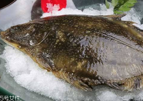 多寶魚可以冷凍嗎 冷凍保存時間更長 多寶魚可以冷凍嗎 冷凍保存時間更長