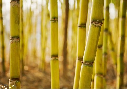 甘蔗熬水可以止咳嗎？來(lái)看看做法