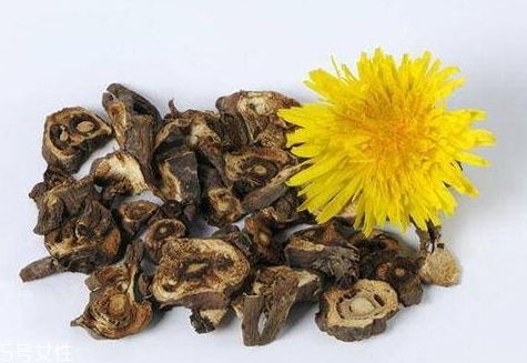 蒲公英茶超市有賣的嗎？去藥房看看