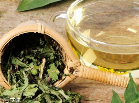 蒲公英用開水泡嗎？煮一煮效果會更好