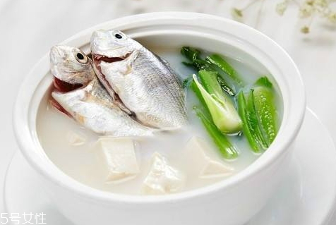 魚(yú)湯為什么結(jié)凍 低溫導(dǎo)致的結(jié)凍