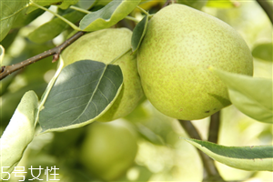 梨子煮熟吃有什么好處？熟梨的常見吃法