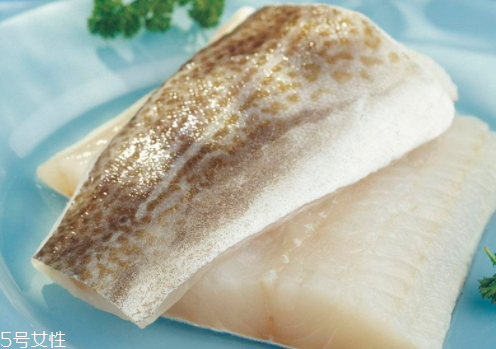 鱈魚為什么沒有頭 原因你知道多少 鱈魚為什么沒有頭 原因你知道多少