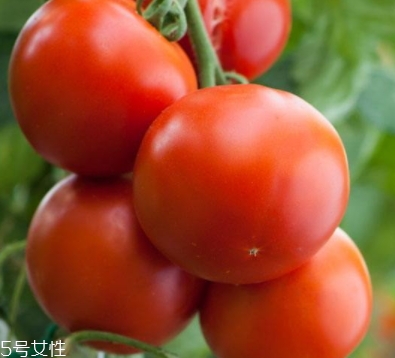 凍了的西紅柿能吃嗎？口感和營(yíng)養(yǎng)受到影響