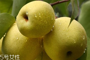 晚上吃梨子會(huì)胖嗎？梨不能和開水一起吃