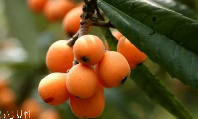 枇杷可以和梨一起吃嗎？桃子和梨不要一起吃