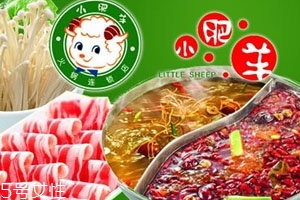 小肥羊火鍋底料怎么用 教你正確的用法步驟 小肥羊火鍋底料怎么用 教你正確的用法步驟