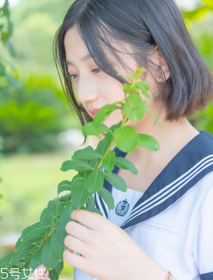 舒爾佳會(huì)反彈嗎？減肥不反彈的好方法