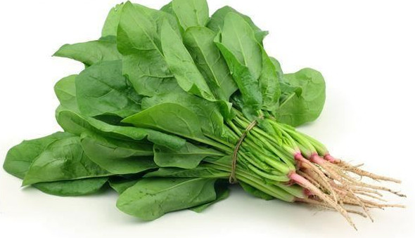 兒童護(hù)眼吃什么好 葉黃素VS維生素A