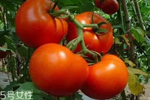 空腹不能吃什么？這4種最好不要吃