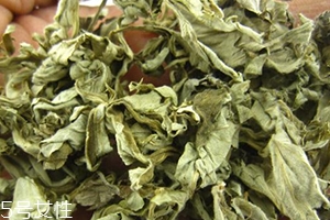 艾葉水可以洗外陰嗎？可以起到殺菌的作用