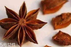 八角可以用什么代替 五香粉代替 八角可以用什么代替 五香粉代替