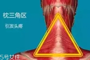 人體黃金三角區(qū)有哪些？養(yǎng)好了百病不擾