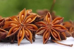 八角籽能吃嗎 功效與作用 八角籽能吃嗎 功效與作用