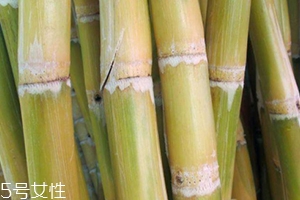 甘蔗吃多了對(duì)牙齒好嗎？有可能損傷牙齒