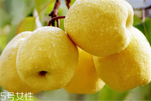 哪些人不宜吃水晶梨？水晶梨的功效與作用