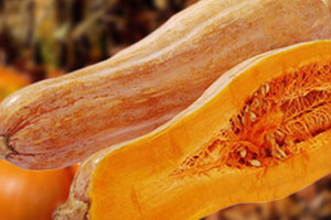 吃南瓜對(duì)腸胃好嗎_吃南瓜對(duì)腸胃的影響 吃南瓜對(duì)腸胃好嗎_吃南瓜對(duì)腸胃的影響