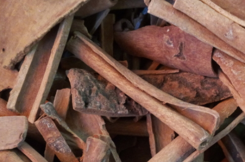 桂皮怎么保存 密封保存才行 桂皮怎么保存 密封保存才行